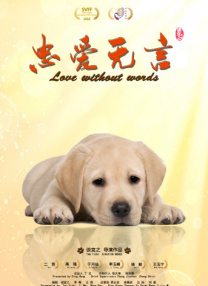 成年人在线观看网站